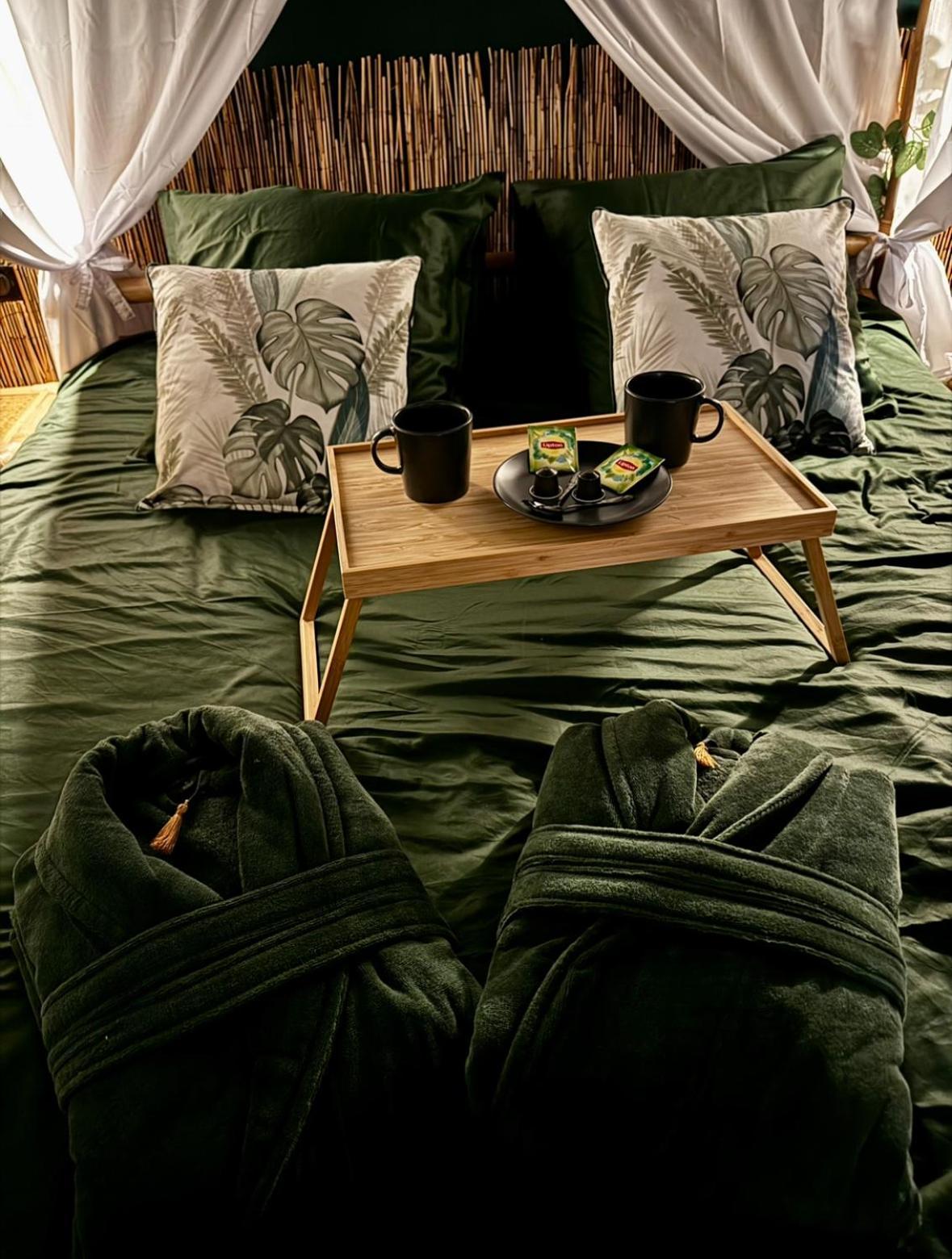 Jungle Love Room トゥールーズ エクステリア 写真